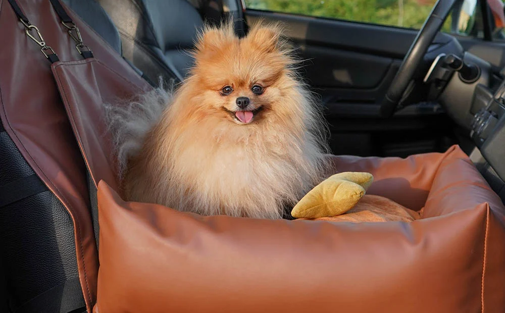 Maltese Dog Car Seat for Kia Forte