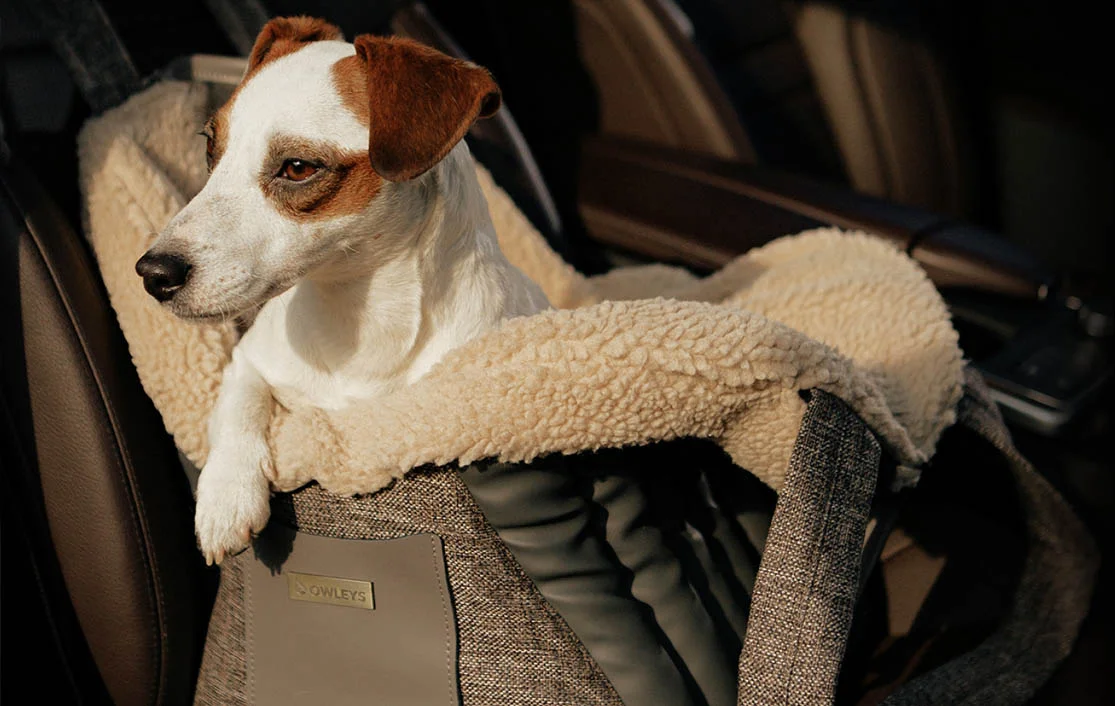 Manchester Terrier Dog Carrier Car Seat for Tesla Model Y