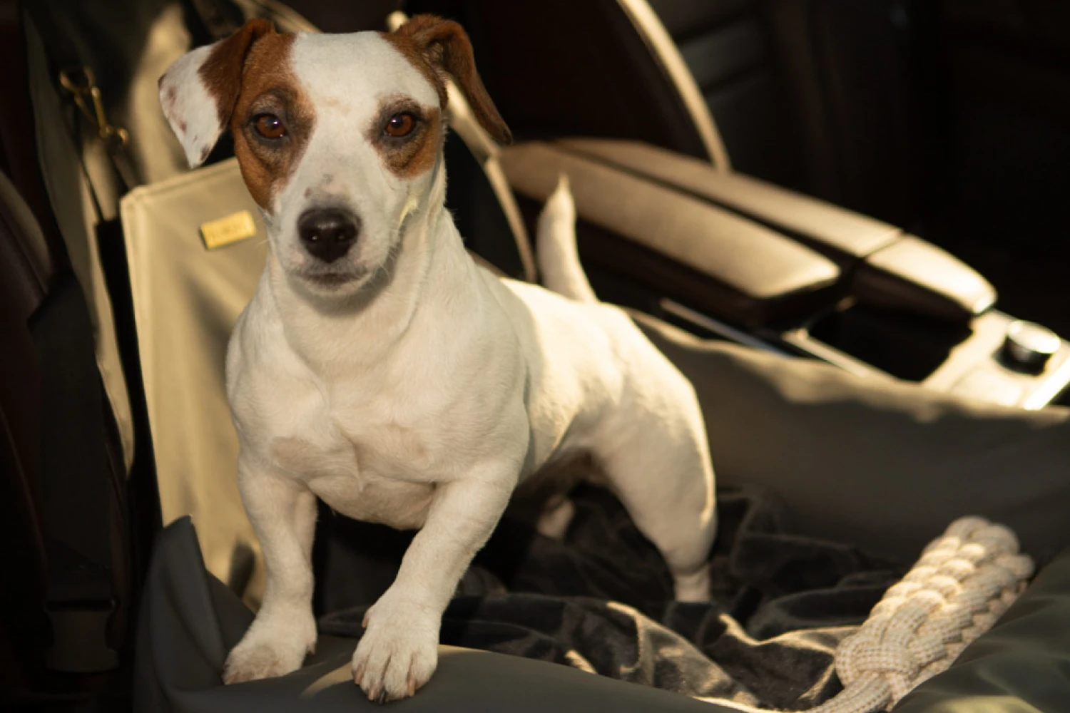 French Bulldogs Dog Car Seat for Chevrolet Suburban