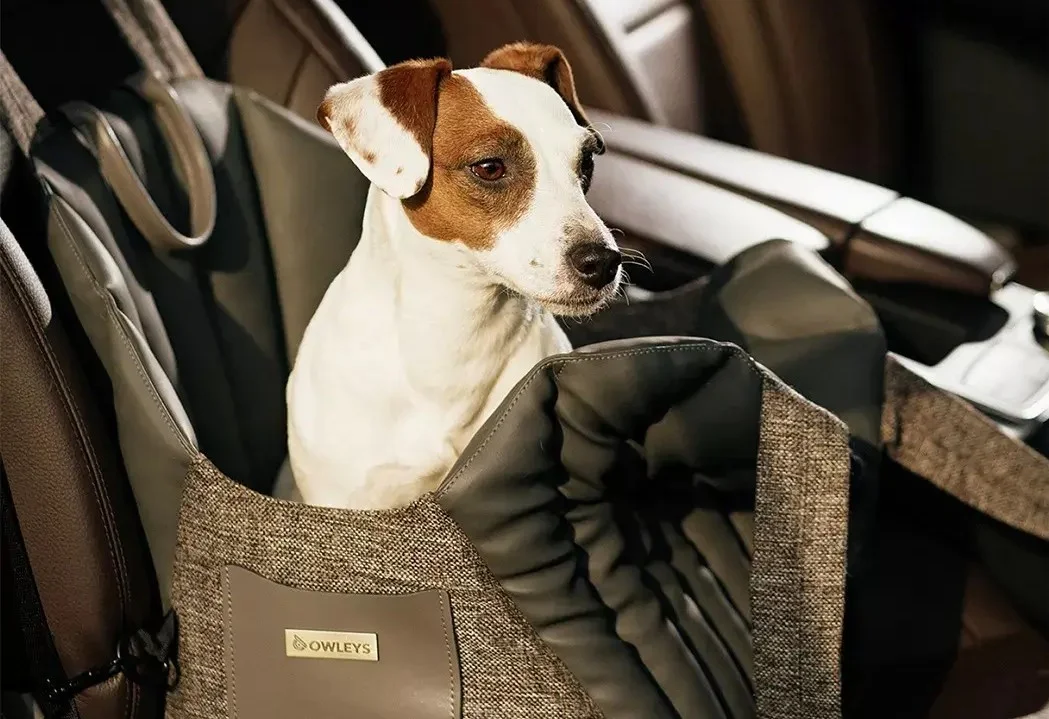 Finnish Spitz Dog Carrier Car Seat for Honda Accord
