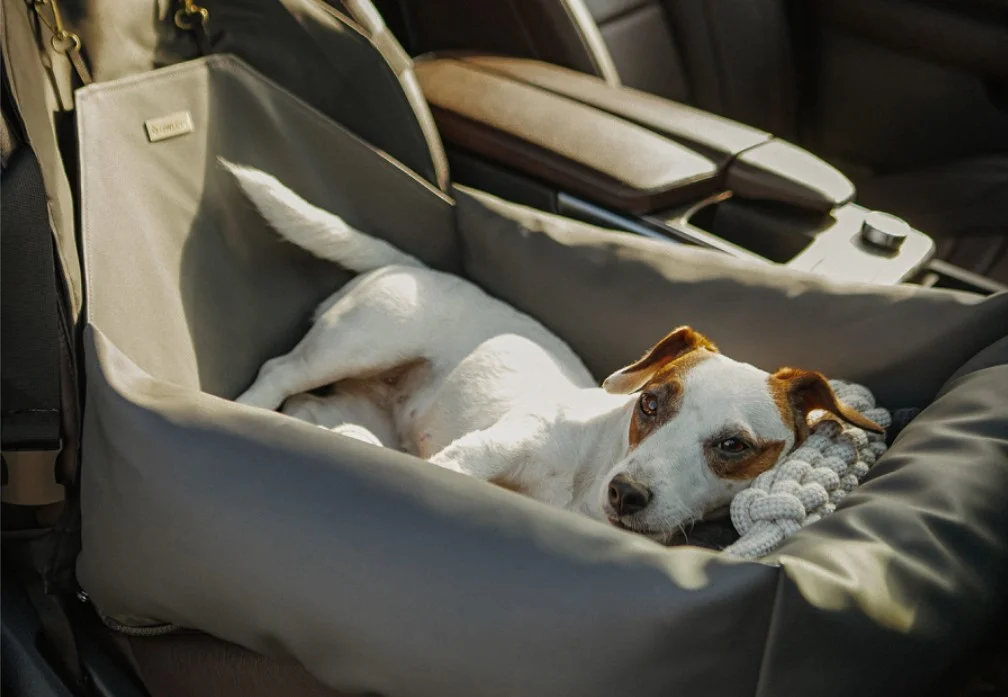 Kia Soul Dog Car Seat for Staffordshire Bull Terriers