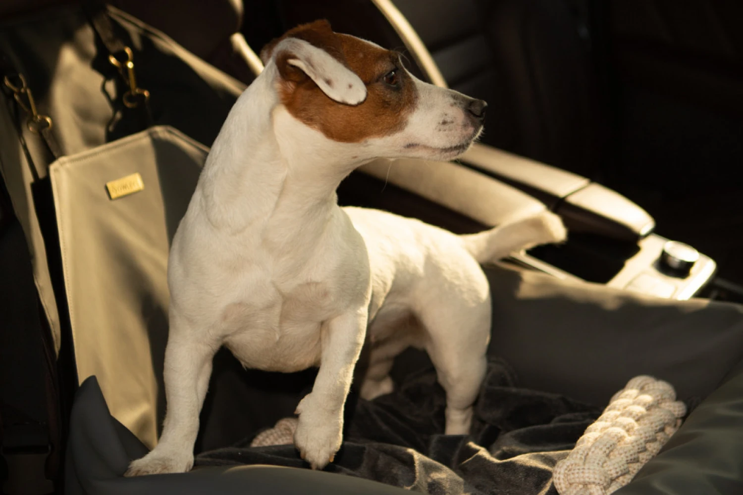 French Bulldogs Dog Car Seat for Mercedes-Benz C-Class