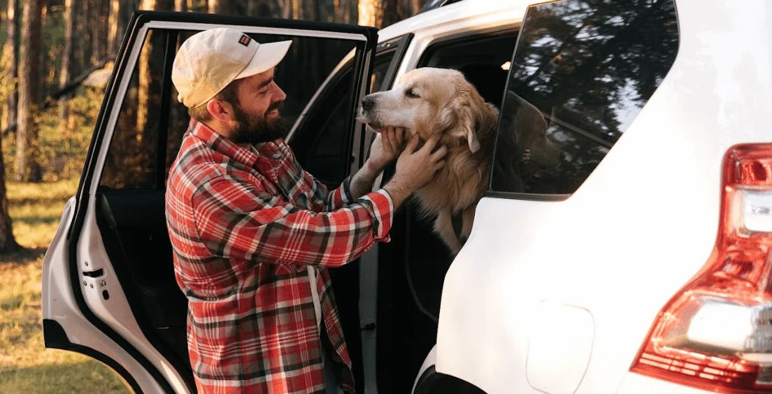 Dodge Grand Caravan Dog Car Seat Belt for Samoyeds