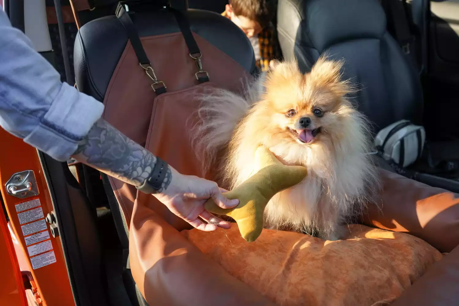 Kia Soul Dog Car Seat for Staffordshire Bull Terriers
